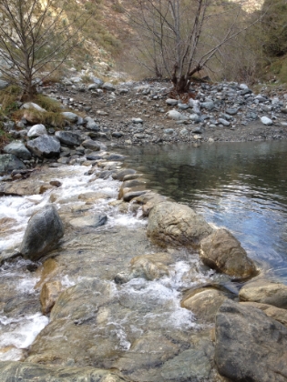 The first water crossing of the day. I don't think there's any way to do this trail without getting really wet. I read online that waterproof boots were highly recommended, but I'm only in my lightweight trail runners.