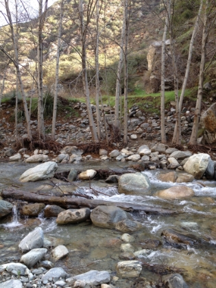 The next water crossing. This water is moving pretty fast and many of the rocks you have to step on are submerged at least ankle deep. Good thing my SpeedCross 3s are great for rock hopping. The water evidently gets waist deep during high water times in a wet year.