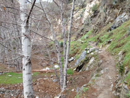 Sections of awesome single track.