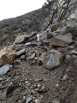 And sections of really technical single track. You know it's good when the trail sign is an arrow pointing straight up.