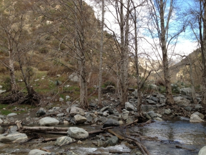 More great river scenery.