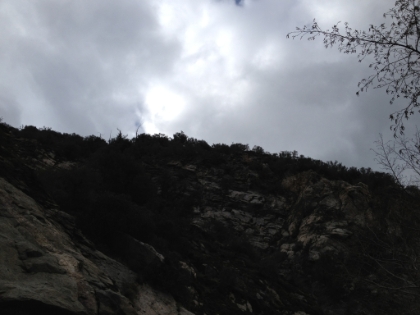 My first ever Big Horn Sheep sighting! A guy on the trail warned me to be careful of big rocks being knocked off the cliff by the sheep. It's really hard to tell in the picture, but you could see it walking around on the face of this nearly vertical cliff wall.