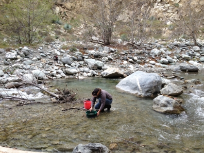 This guy looks more legit.