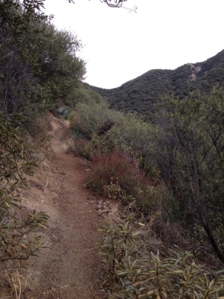 Back down to Heaton Flats and now starting the second leg of my journey. The goal now is about 8 miles round trip to Heaton Saddle.