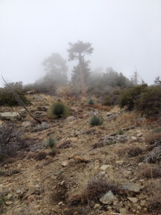 Another steep section of trail and the storm clouds are starting to move in. Normally I would love to get a little snow, but today my goal was time, so I was hoping the weather would hold out. I got lucky, and the weather was perfect the whole way. The temperature drops fast though once you get into the clouds.