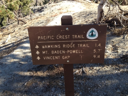 Made it to the PCT.  The PCT is one of the very few places in Southern CA where you can hop on a single trail and go for 30, 40,  or 50 miles (or a few thousand miles if you wanted!). I hope to use it in the Spring and Summer to try some long runs.