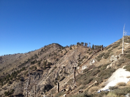 The trail here follows a very distinct ridgeline.