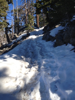 A steep climb through the snow. Fortunately the super M&S grip on my SpeedCross 3s did amazingly well in the snow.