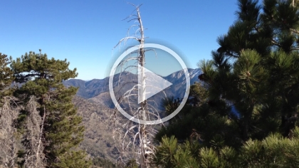 360 summit video from Mt. Hawkins.
