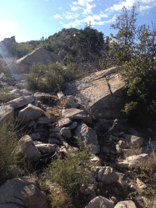 This is the "trail". Basically an extremely steep scramble up the rocks. The last half mile is a 1000' HALF mile, so equivalent to a 2000' mile! Coming down took longer than going up. That is the tell-tale sign of a really steep, technical trail.