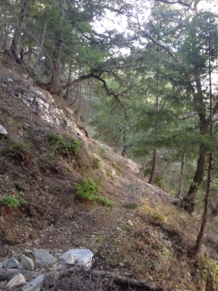 Awesome single track. Very similar to Mt. Wilson in places.