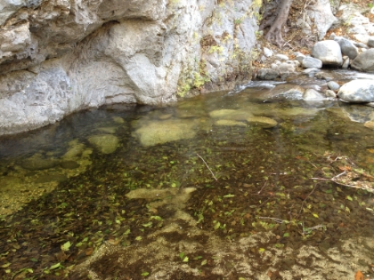 The water is crystal clear and looks fairly deep.