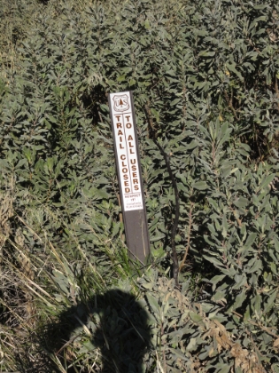 After searching around for a while on Big Tujunga Road for the Condor Peak trailhead, I finally found it. And along with it, I found this sign. Trail closed?! How could the trail be closed? My perfectly planned 32 mile route looked to be in jeopardy. But, I've found that "closed" is a relative term when it comes to trails. After driving nearly 2 hours to get here, I was determined to at least get a better look.