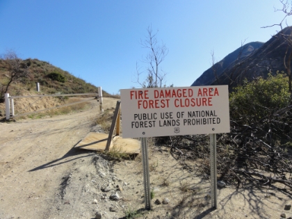 Are you kidding me?? Denied again. Of course, I had to at least have a look...