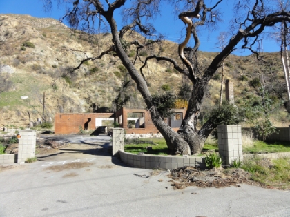 There is a small road here that evidently used to have a row of houses. All that's left now are burnt out chimneys and a few brick walls. The Stone Canyon Trail disappeared, so I just followed the little road that headed towards Vogel Flats. There was one last trail to try there. Pretty much the last trailhead in the canyon.