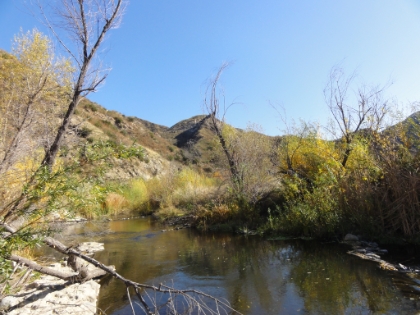 I poked around the Grizzly Flat Trail for a bit. Nice area, but definitely not runnable.