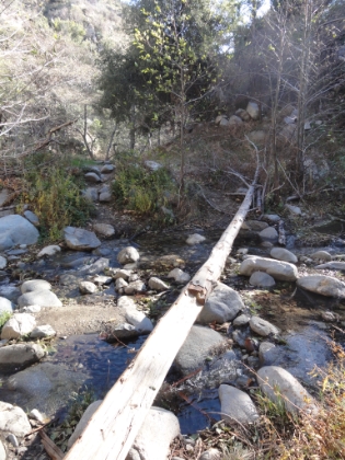 Lots of great stream crossings with some balance beam logs. Good thing I was wearing my super grippy Salamon SpeedCross 3s.
