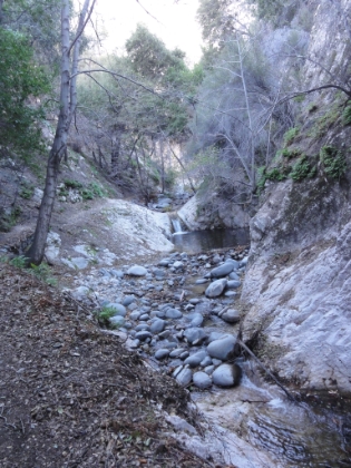 A nice section of trail with the creek cascading down alongside it.