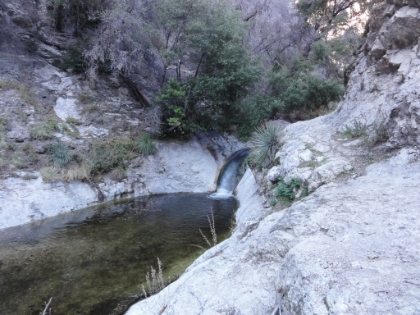 Lots of little cascades and falls along the trail.