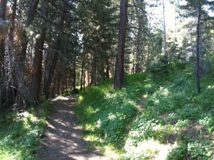 South Fork Trail