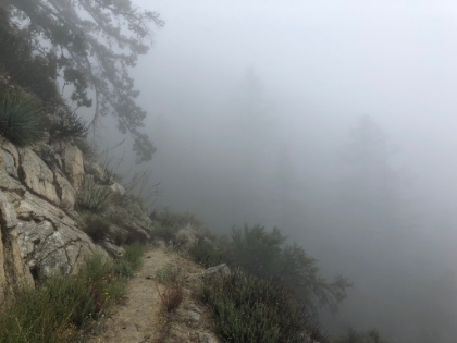 Definitely didn't need to worry about it being a hot day. It was 46deg at the trailhead with a light drizzle and very low visibility.