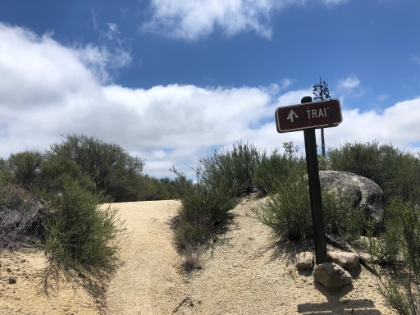 And then all of a sudden boom, out of the green and onto the ridge. The sign would have been useful in several places down below.
