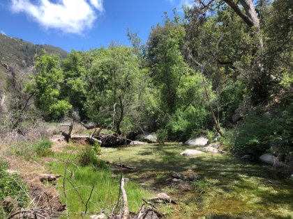 Back down to the river, this time with sun and no fog.