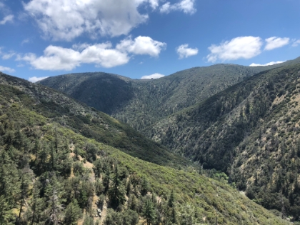 The view that I missed in the fog earlier in the morning. It's a great little valley and further proof that it always pays to explore new trail!