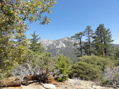The view of Lily Rock and Tahquitz Peak from across Strawberry Valley.