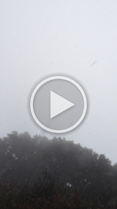 A video look at the heavy snowfall. Fairly rare for Santiago. We didn't spend much time on the summit since it was so cold, we had to keep moving! I was shivering even while running.