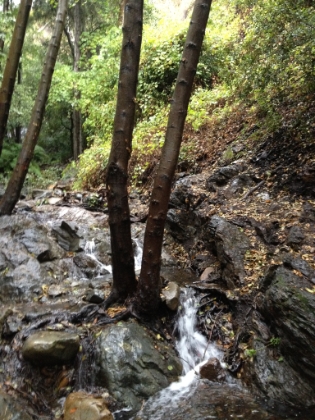There was a lot more water flowing on the way down than on our way up.