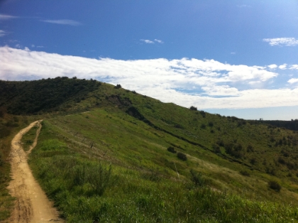 A good look at the Joplin trail winding up through the hills. Everything is nice and green.