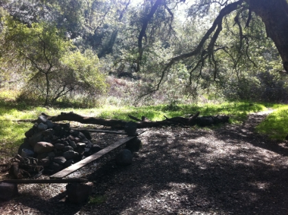 The trail drops a few hundred feet down into Santiago Canyon (not fun on the way back). I think this is a hangout spot for mountain bikers. This is a really popular mountain biking trail, but I don't think they go much past this point. This area is similar to lower Holy Jim but with steeper, more technical terrain.