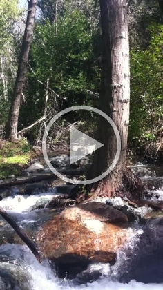 Video of the creek.
