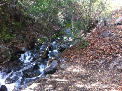 There are some amazing little cascades along the way. There are a couple miles in this area that are around 1200' per mile, which is almost Catctus Clouds caliber. I'm mostly hiking here and jogging in brief spots where I can.