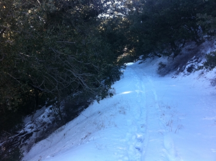 This trail is much harder in snow than dry! The snow is easily 6-9 inches deep here. Each step is past my ankles and my non-waterproof trail running shoes are starting to get really wet and really cold.