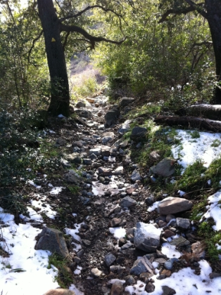 Talk about deceiving pictures. This is actually a really steep downhill. It gives you some idea of how technical the trail is. I was coming down this section pretty fast. Definitely an ankle workout!