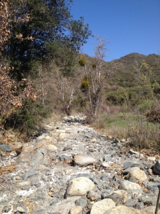 The trail now leaves the bottom of San Mateo Canyon and hops over to the smaller Bluewater Canyon. There are several small, dry creek beds here.
