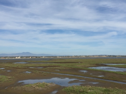 The wetlands with Santiago in the distance.