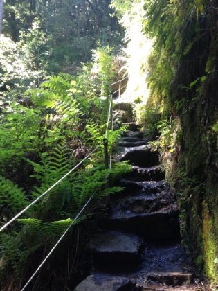 Steep, narrow steps leading right to the top of the falls.
