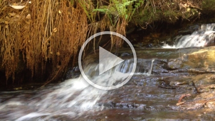 Video of the creek heading over the edge.