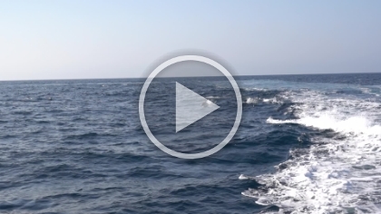 A short video attempting to show the dolphins surfing in our wake.