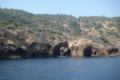 We stayed on the boat to take a tour up the coast to Painted Cave. There are many great examples along the way of the sea caves and bridges that the islands are known for.
