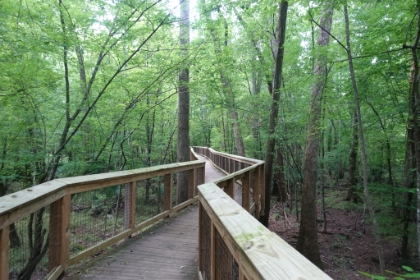 An amazing amount of work must have gone into this boardwalk. Although I was growing very tired of spider webs and mosquitos, I loved this hike. It was unquestionably one of the most interesting trails I've done in quite some time!
