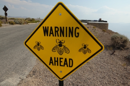 I love interesting trail signs, and this was a first. Fortunately there were no bees today!