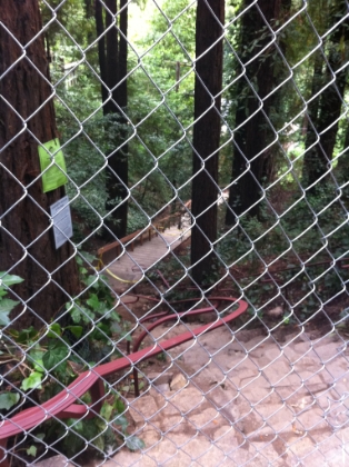 A look down from the top of the first flight, closed for renovation.