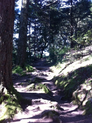 Always hard to tell in the picture, but this is really steep. During the race, you only have to go up this. But today, I have to go up and then back down. Coming down this at full speed is tough, but a blast.