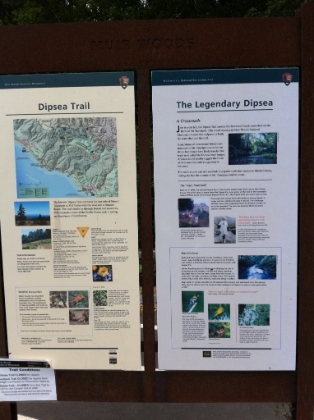 The Dipsea trailhead sign at the Muir Woods entrance.