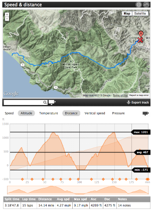 Topo map and elevation profile for the run.