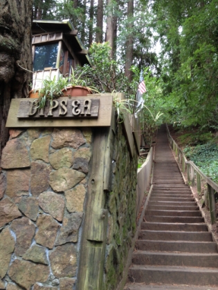 Back on the Dipsea and the famous stairs.